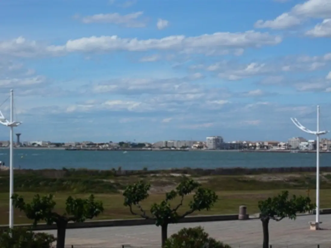 Location de Vacances Port Camargue 328