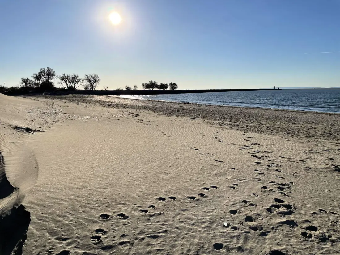 Résidence La Lagune