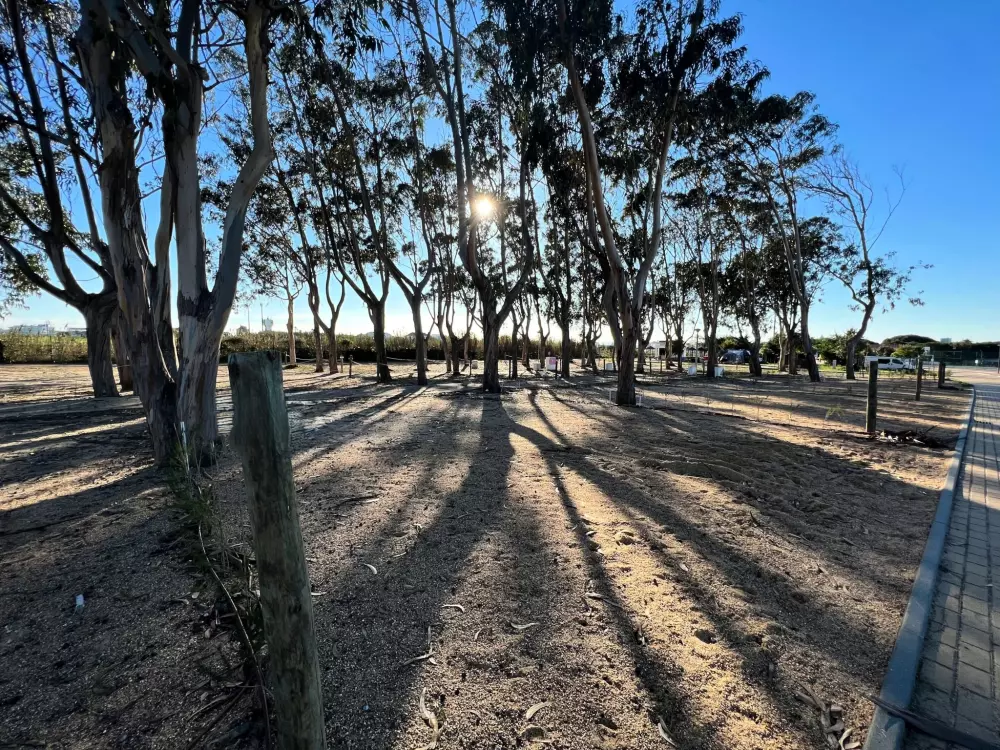 COSTA DO VIZIR BEACH VILLAGE 4 étoiles★★★★