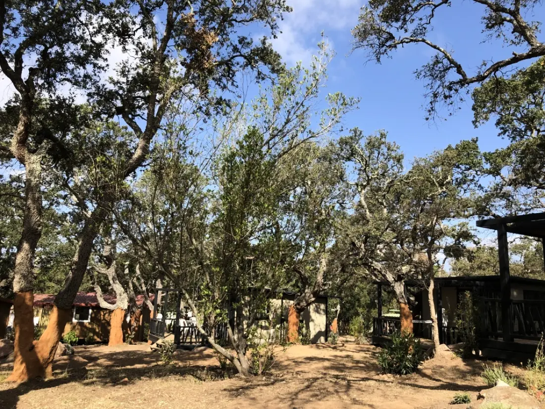 Camping Petra Legna3 étoiles★★★