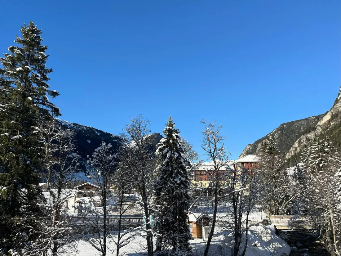 Location de Vacances Pralognan-la-Vanoise 222