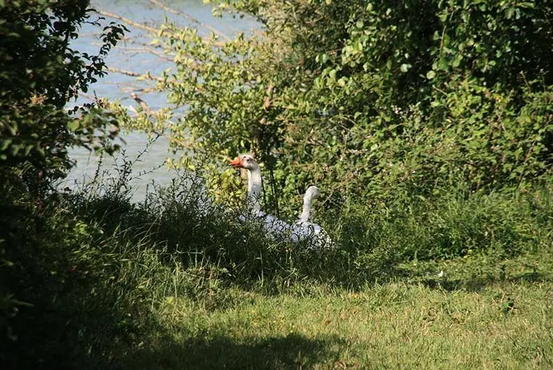 Domaine du Lac de Neguenou3 étoiles★★★