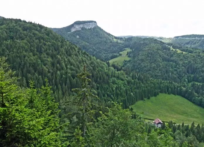 VVF Prémanon *** - Prémanon - 15