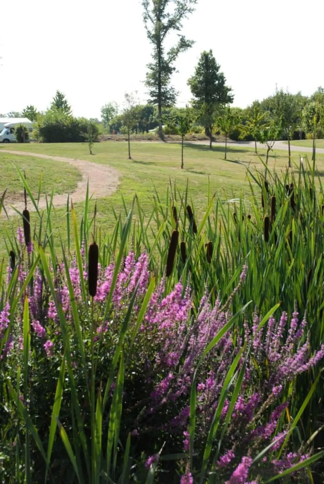 Flower Camping des Lacs 4 étoiles★★★★
