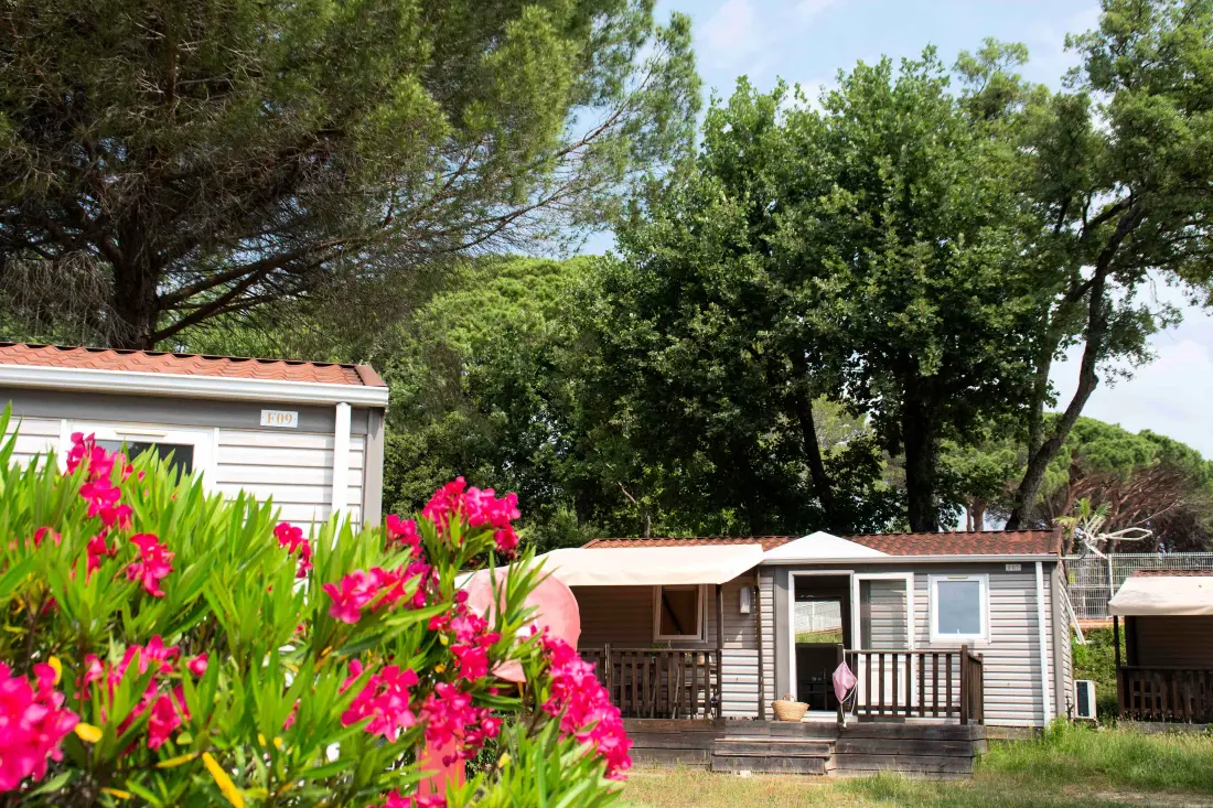 Camping Montana Parc Oasis Village - Coeur de l'Estérel 5 étoiles★★★★★