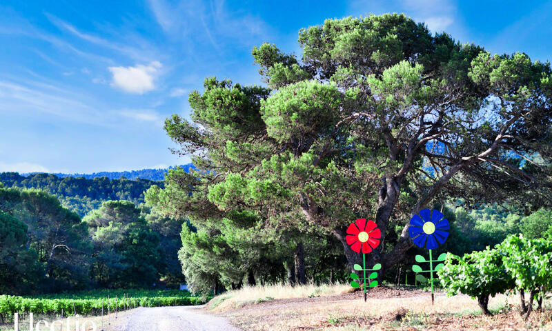 Petite Bastide | Domaine Tour Campanets - - Puy Sainte Reparade - 34