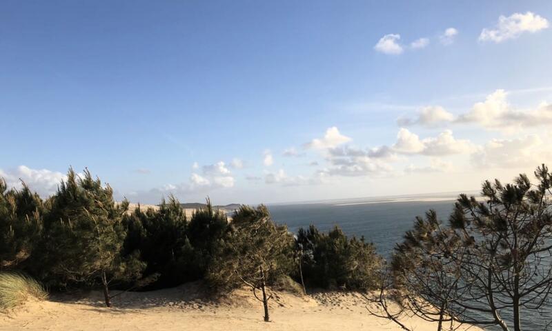 Somptueuse Villa Avec Piscine Et Doté D'un Accès Privé à La Dune Du Pilat - - Pyla sur Mer - 24