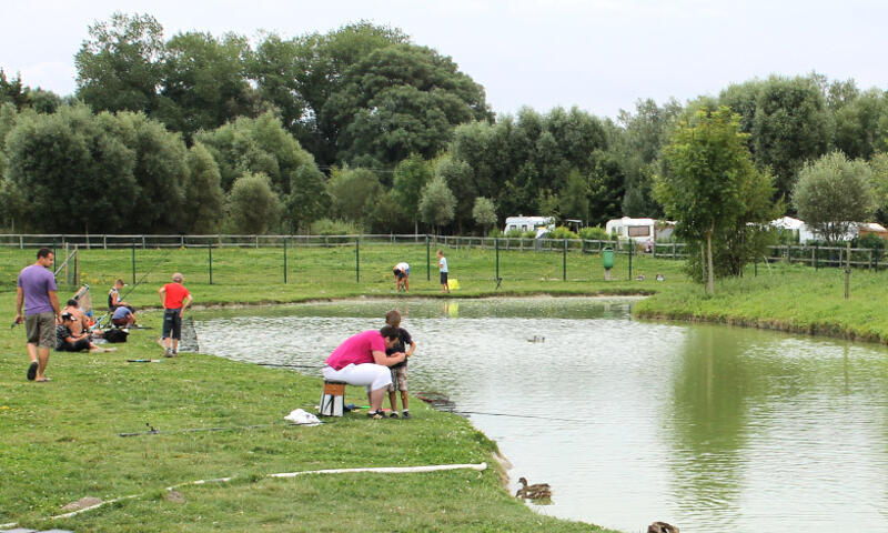 France - Nord et Picardie - Quend - Camping Paradis Les Roses