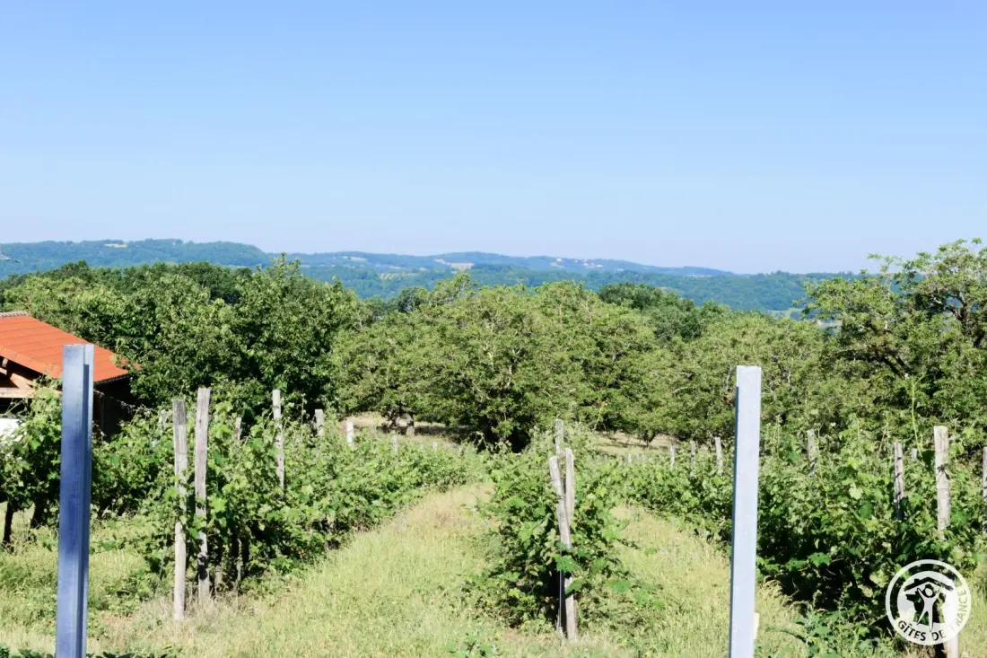Gîte de France Belleviste 3 épis