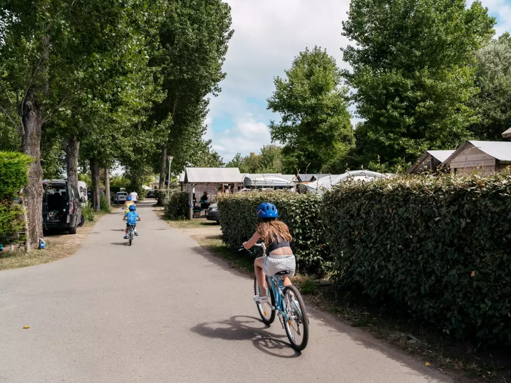 Flower Camping Le Bois d'Amour 4 étoiles★★★★