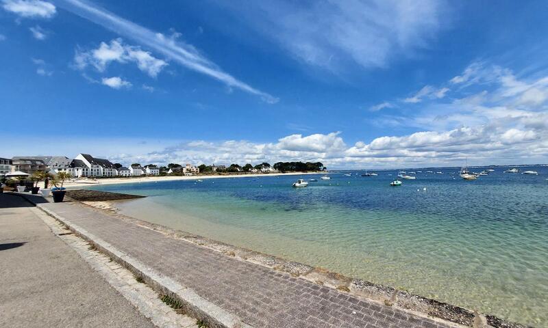 Gîte de France Au calme marin 3 épis - - Quiberon - 20