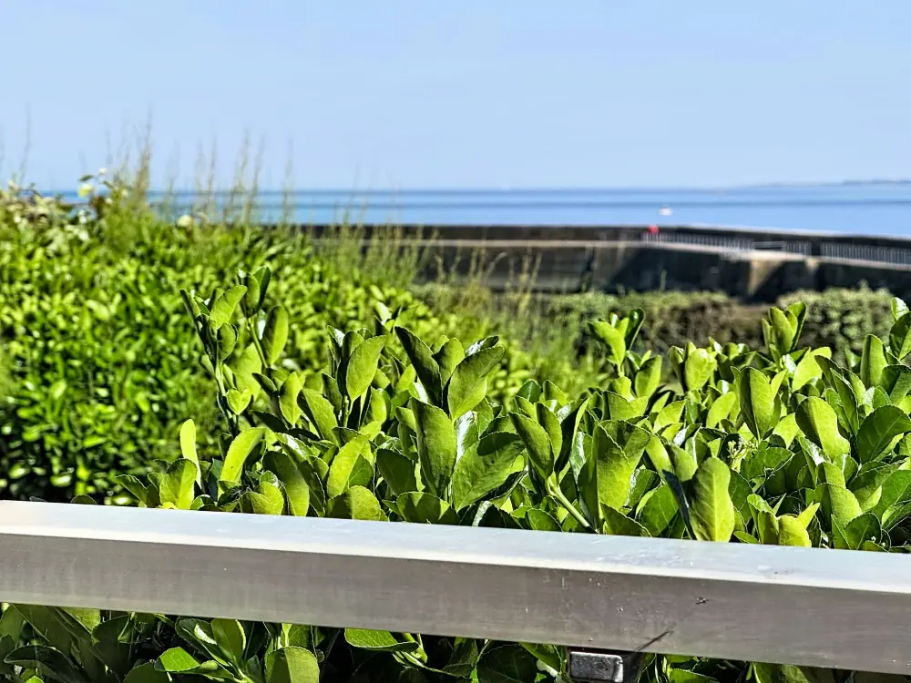 Résidence Les Terrasses Port Maria