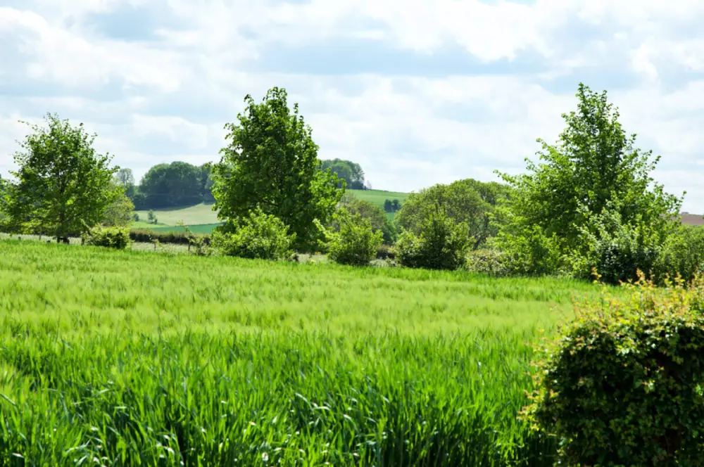 Camping la Dolce Vita