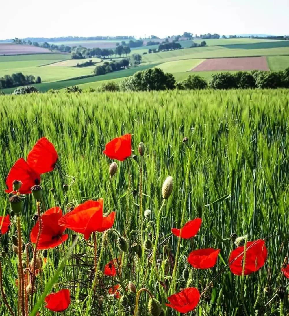 Camping la Dolce Vita