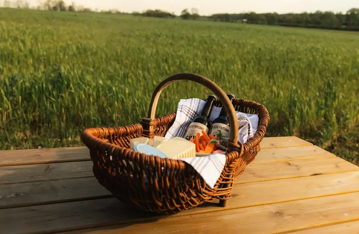 Tiny House - Vallée : Entre nature sauvage et visite historique - 4