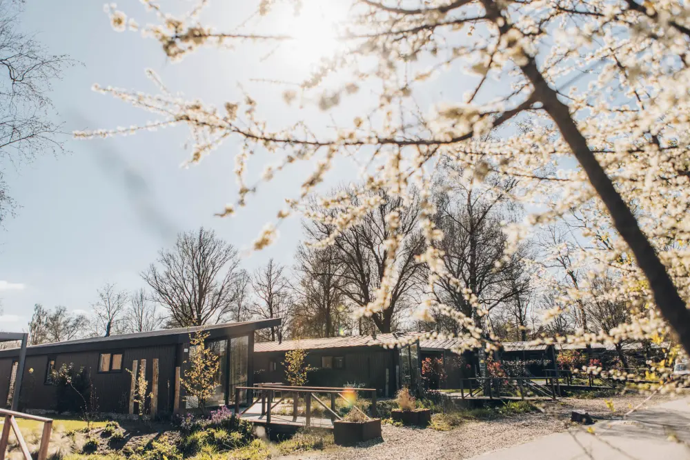de Leughte Resort Renswoude