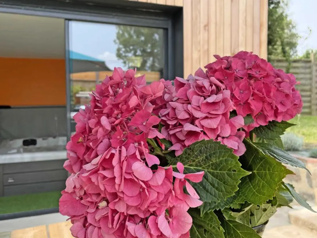 Maison de Vacances REVEILLON