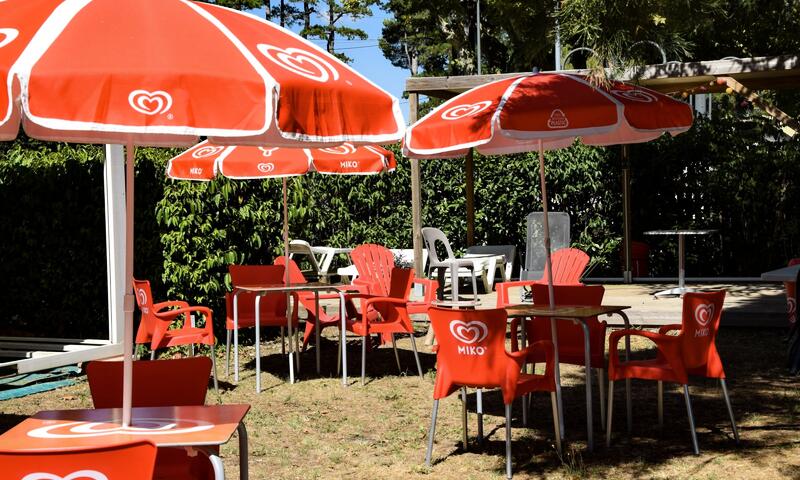 Camping le Moulin du Roy *** - Revel - 16