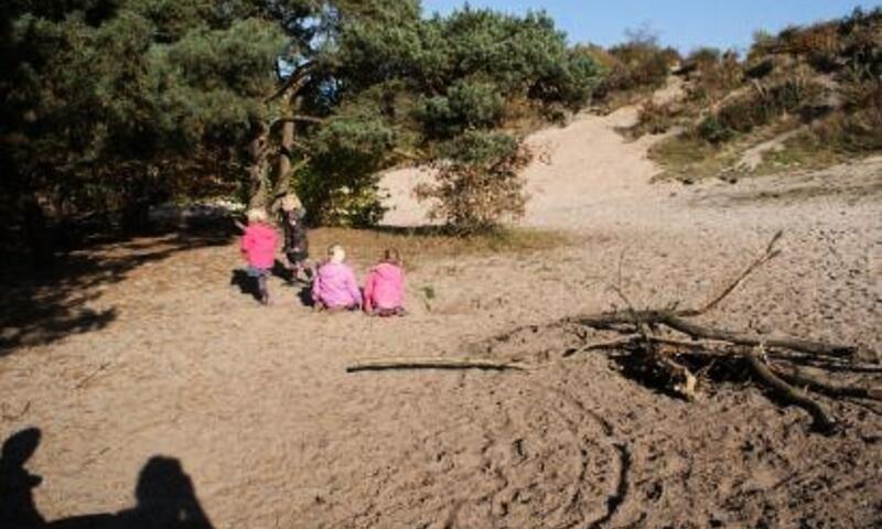 Camping 't Veld ***** - Rheeze - 13