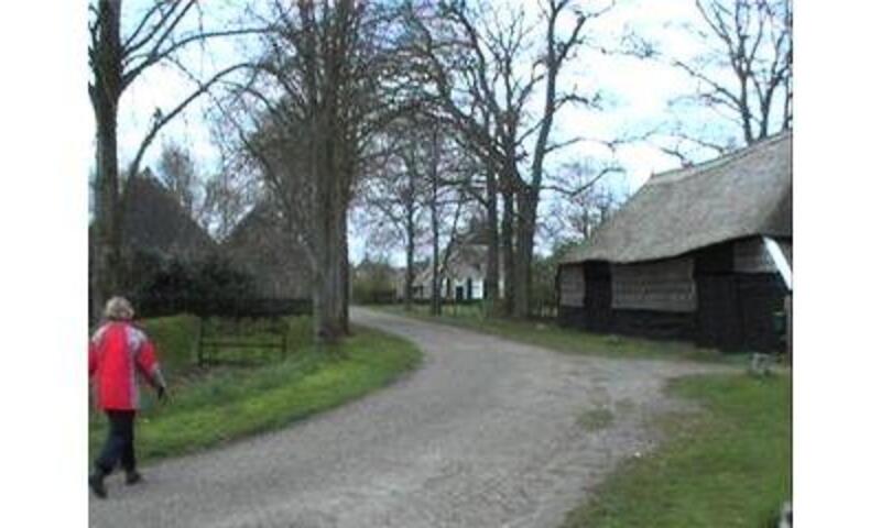 Camping 't Veld ***** - Rheeze - 15