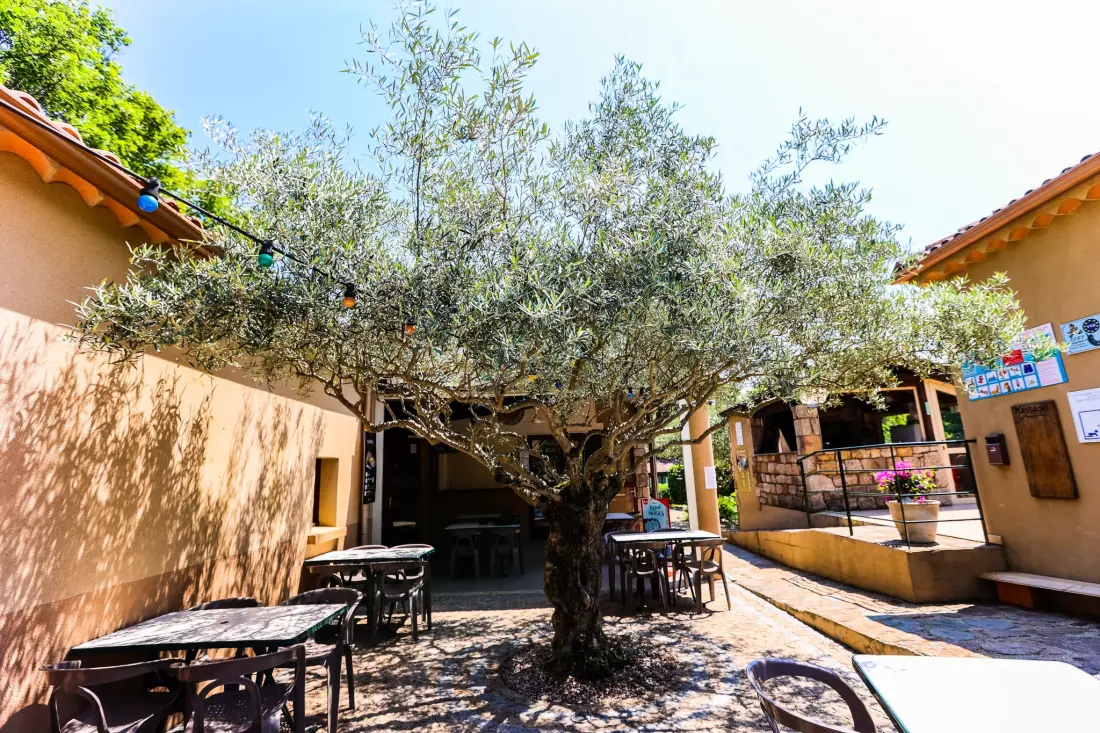 Ushuaïa Villages - Camping Les Cruses 3 étoiles★★★