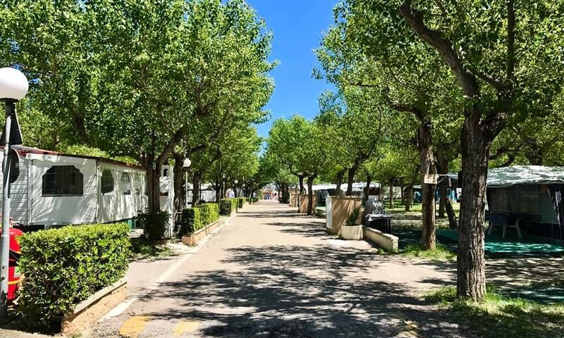 Club del Sole Riccione Easy Camping Village *** - - Riccione - 1