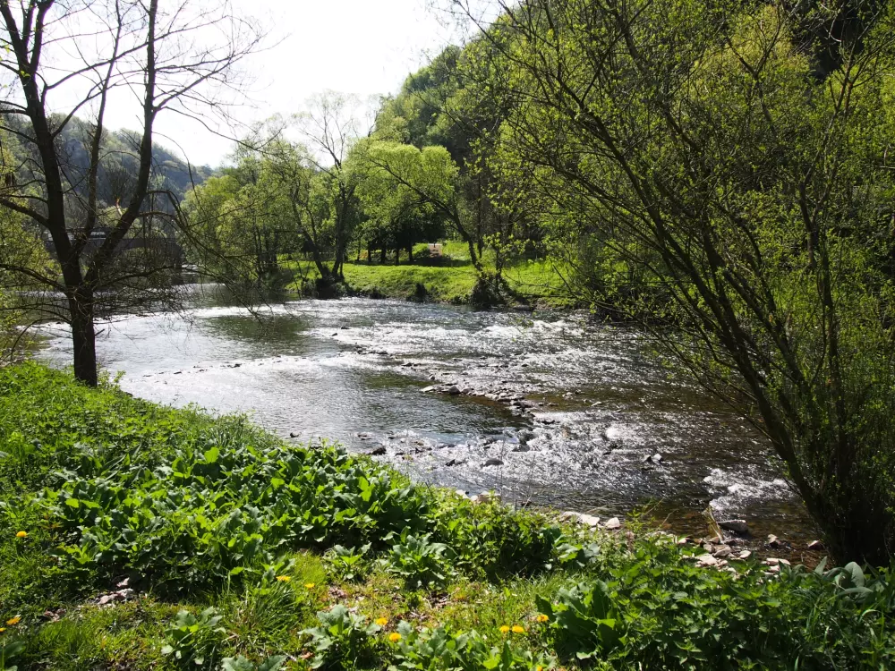 1-ouder camping Au Bord de l'Ourthe 2 étoiles★★