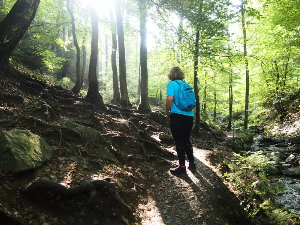 1-ouder camping Au Bord de l'Ourthe 2 étoiles★★