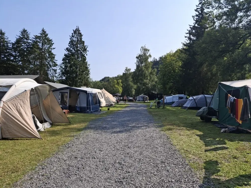 1-ouder camping Au Bord de l'Ourthe 2 étoiles★★