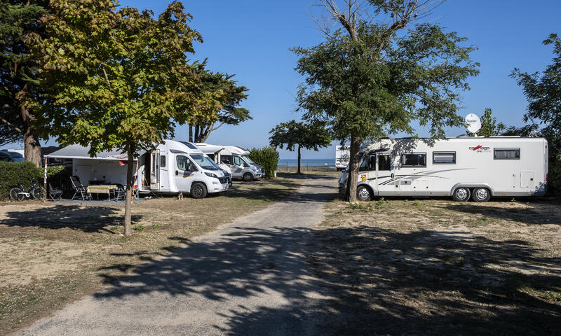 Camping La Redoute - Le Platin*** - Rivedoux-Plage - 15
