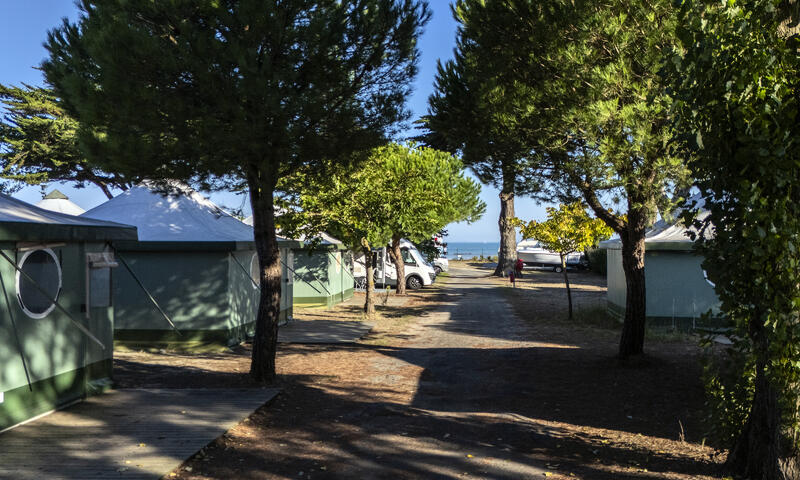 Camping La Redoute - Le Platin*** - Rivedoux-Plage - 11