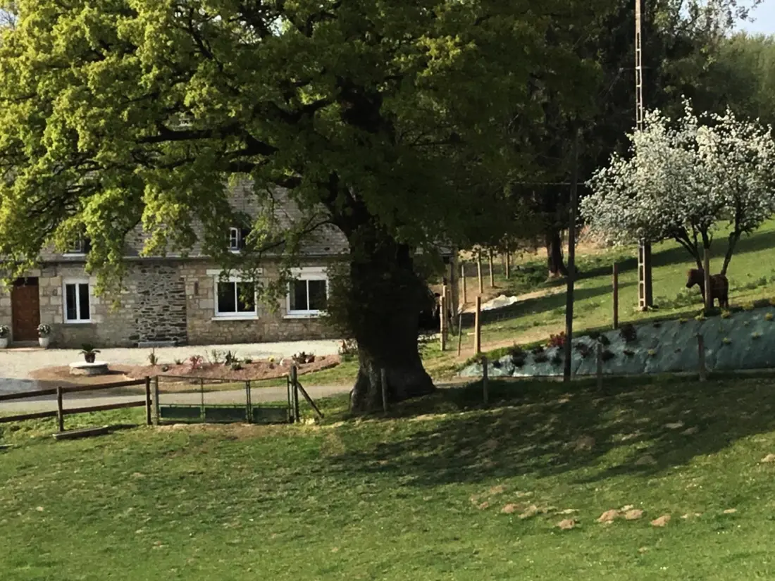 Maison de Vacances Rives-d'Andaine 2