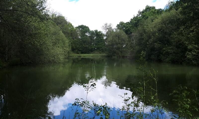 Camping de Bergougne *** - Rives - 4