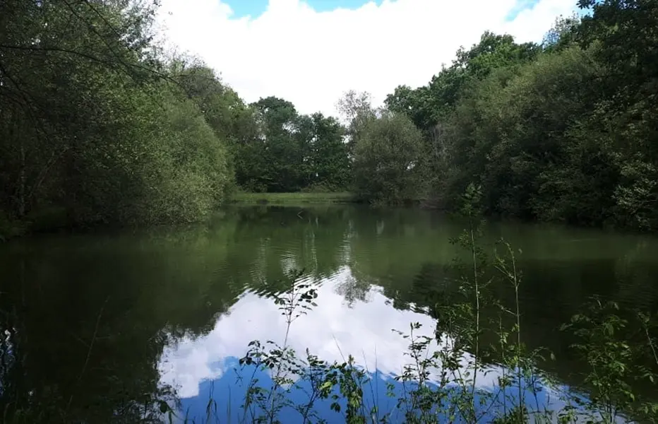 Camping de Bergougne 3 étoiles★★★