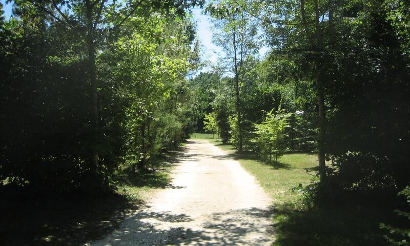 Camping de Bergougne *** - Rives - 3