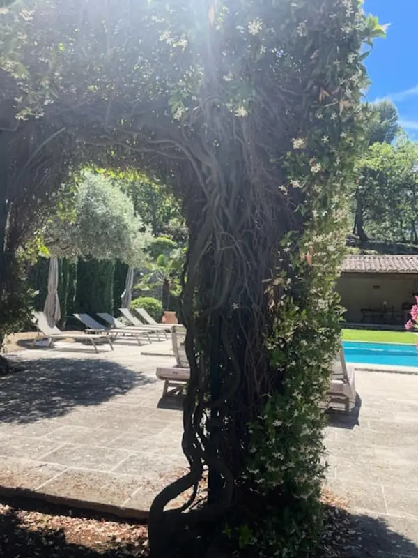 Propriété D'exception Au Coeur Du Luberon