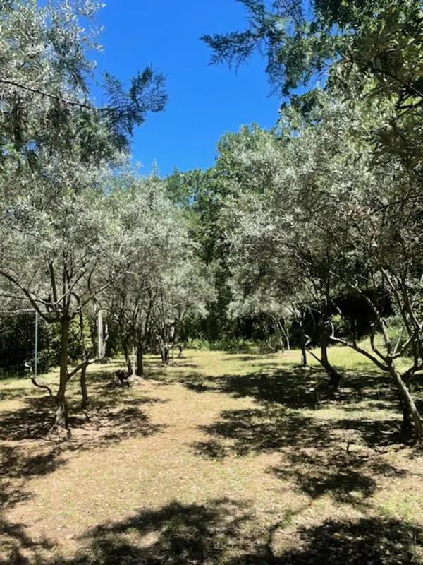 Propriété D'exception Au Coeur Du Luberon