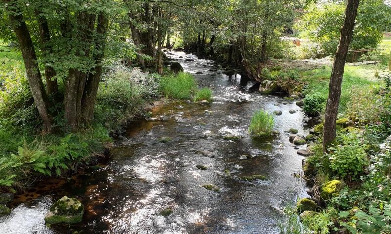 Magnifique Chalet Les Noisetiers - - Rochesson - 19