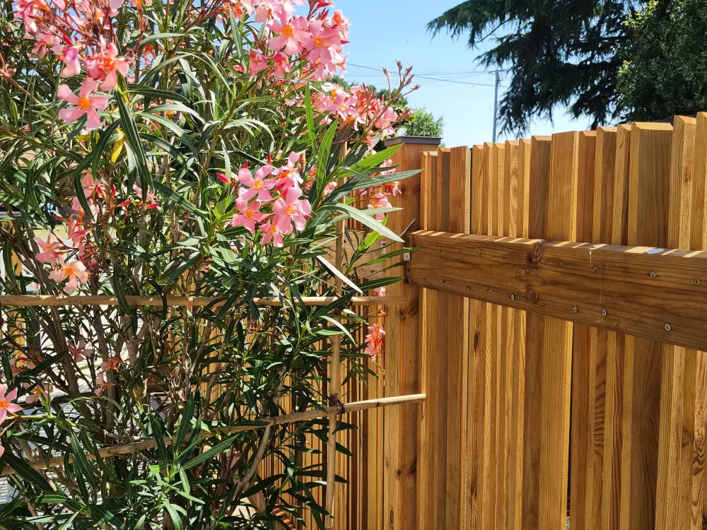 Maison de Vacances Rochetrejoux 3