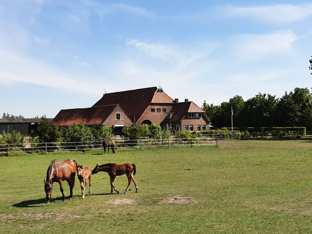 Camping Eefting (Vodatent)