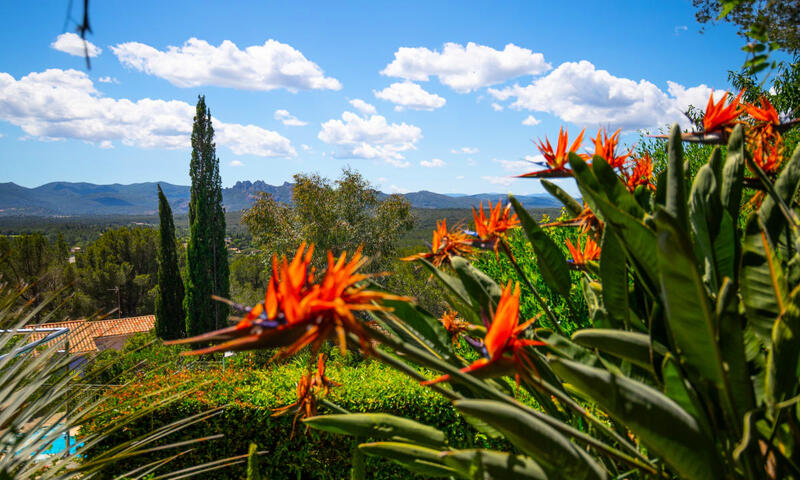 Villa 10 Pers Piscine Privée Près De Saint-tropez - - Roquebrune-sur-Argens - 44