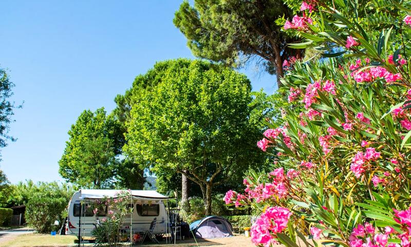 Village Camping Les Pêcheurs **** - Roquebrune-sur-Argens - 7