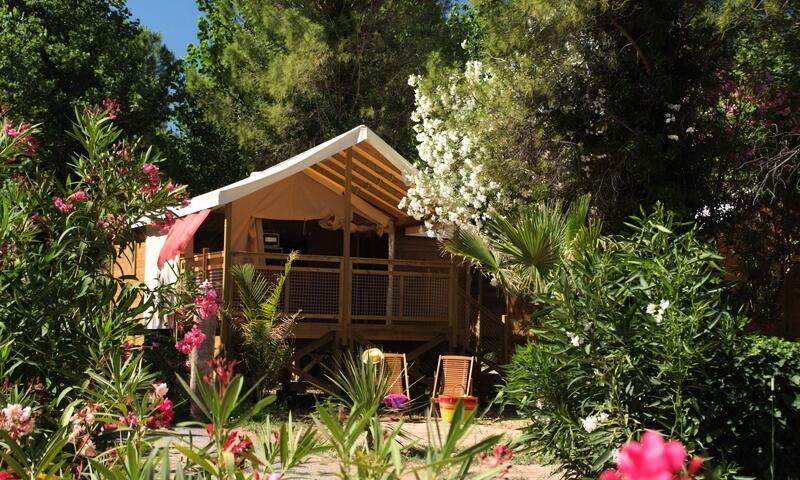 Village Camping Les Pêcheurs **** - Roquebrune-sur-Argens - 4