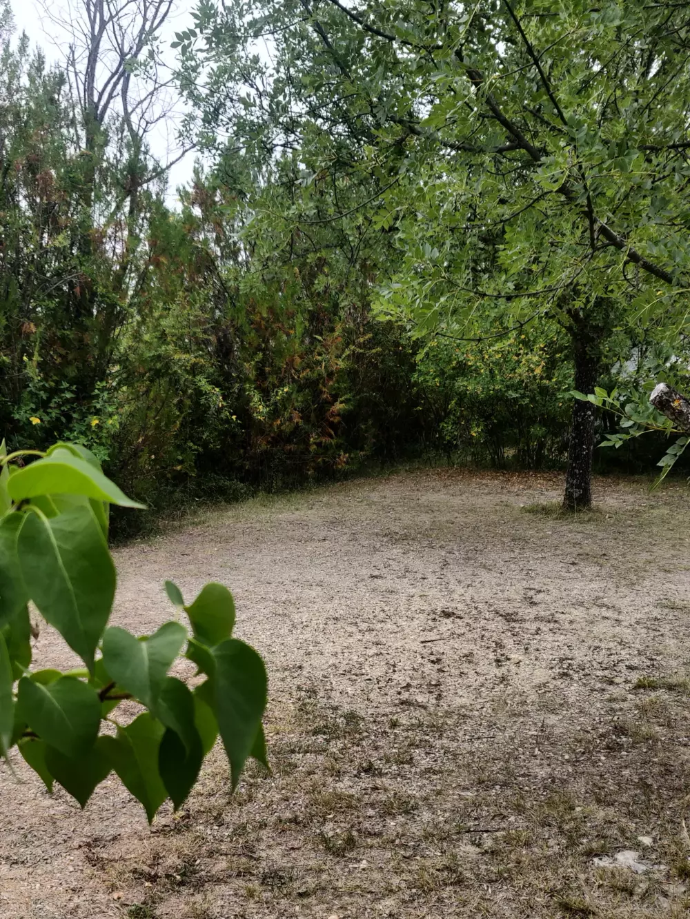 Flower Camping Les Hauts de Rosans 4 étoiles★★★★