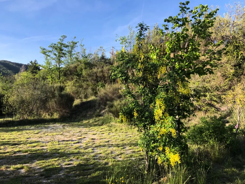 Flower Camping Les Hauts de Rosans 4 étoiles★★★★