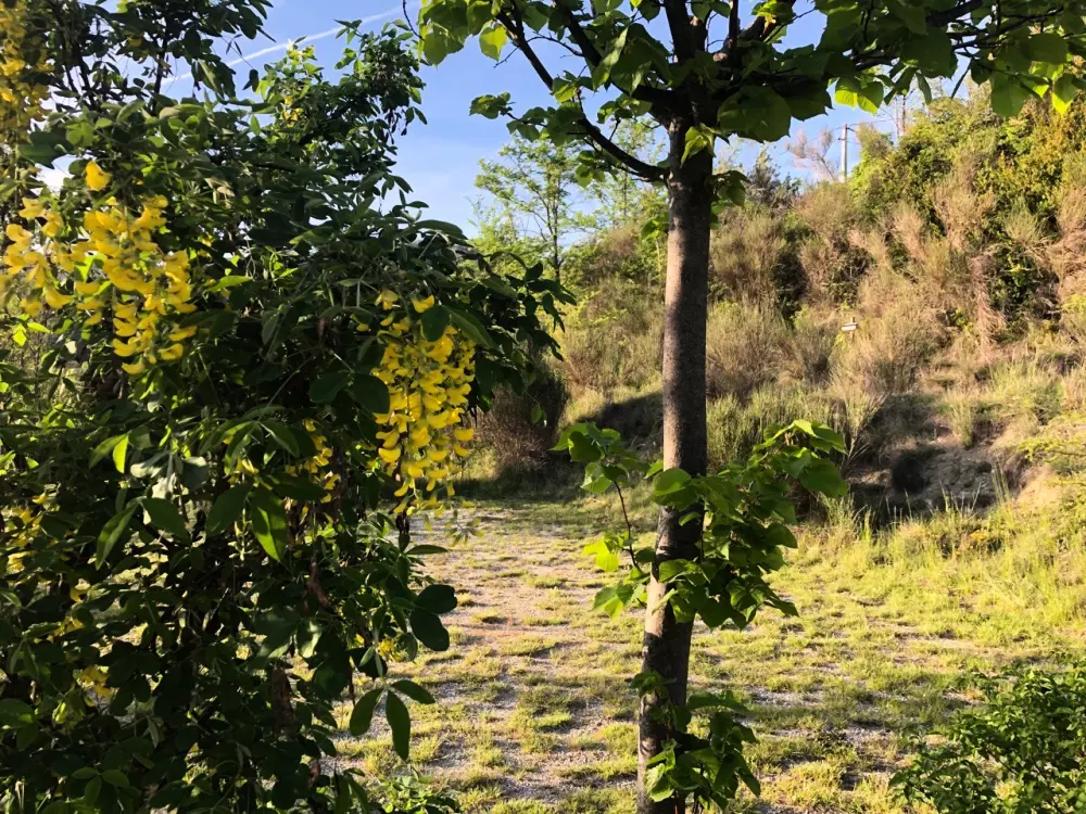 Flower Camping Les Hauts de Rosans 4 étoiles★★★★