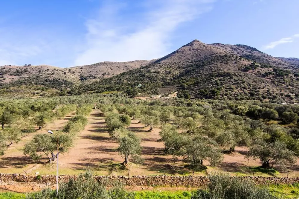 Agi Rescator Resort1 étoiles★