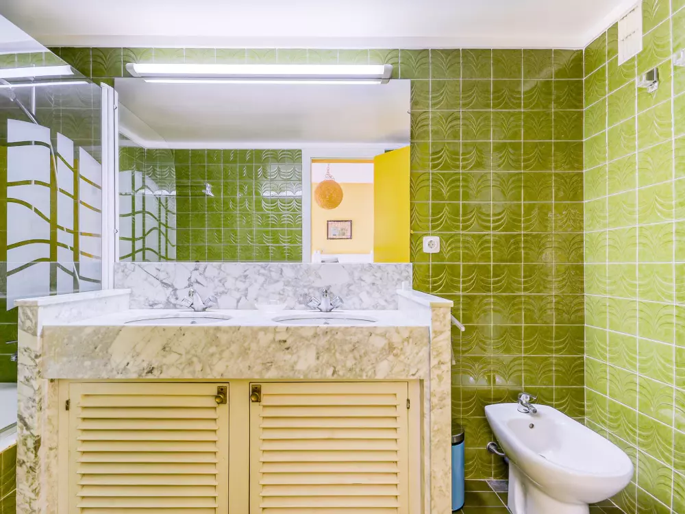 Location de Vacances Roses 1153