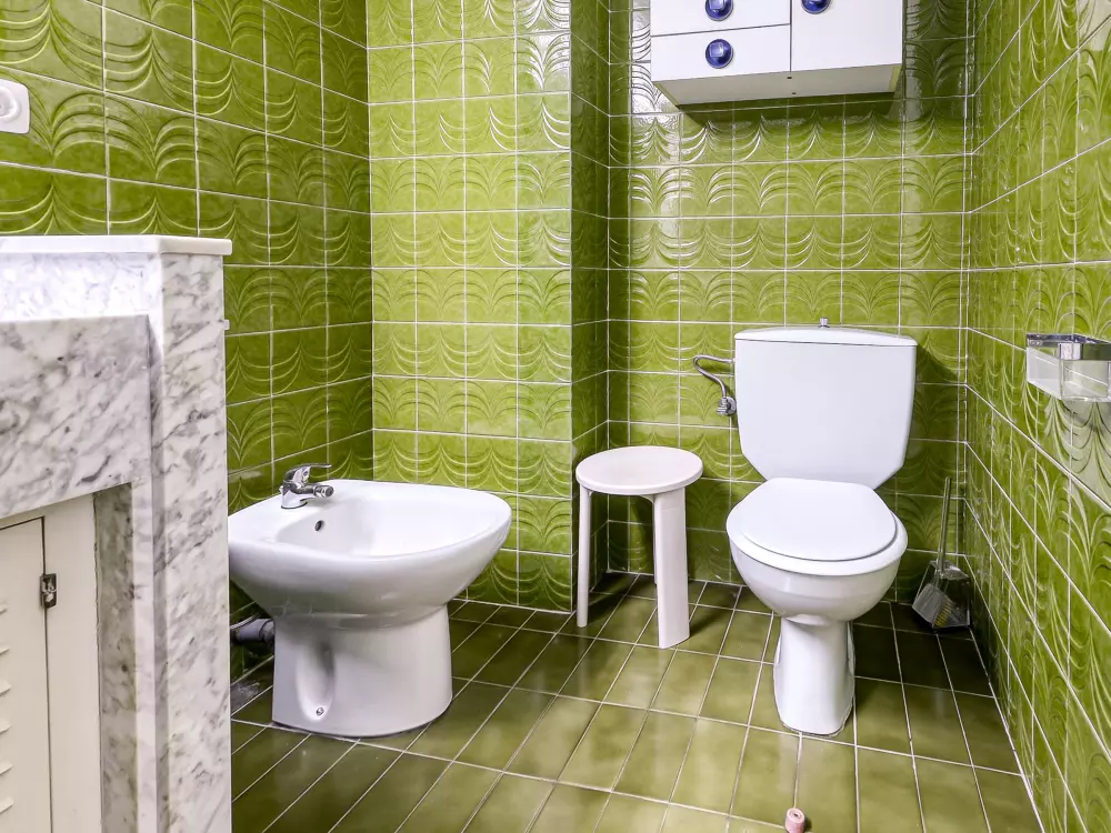 Location de Vacances Roses 1153