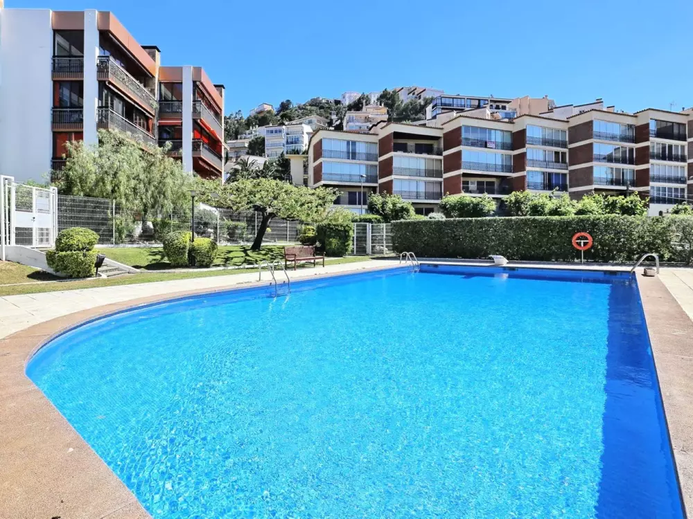 Location de Vacances Roses 1153